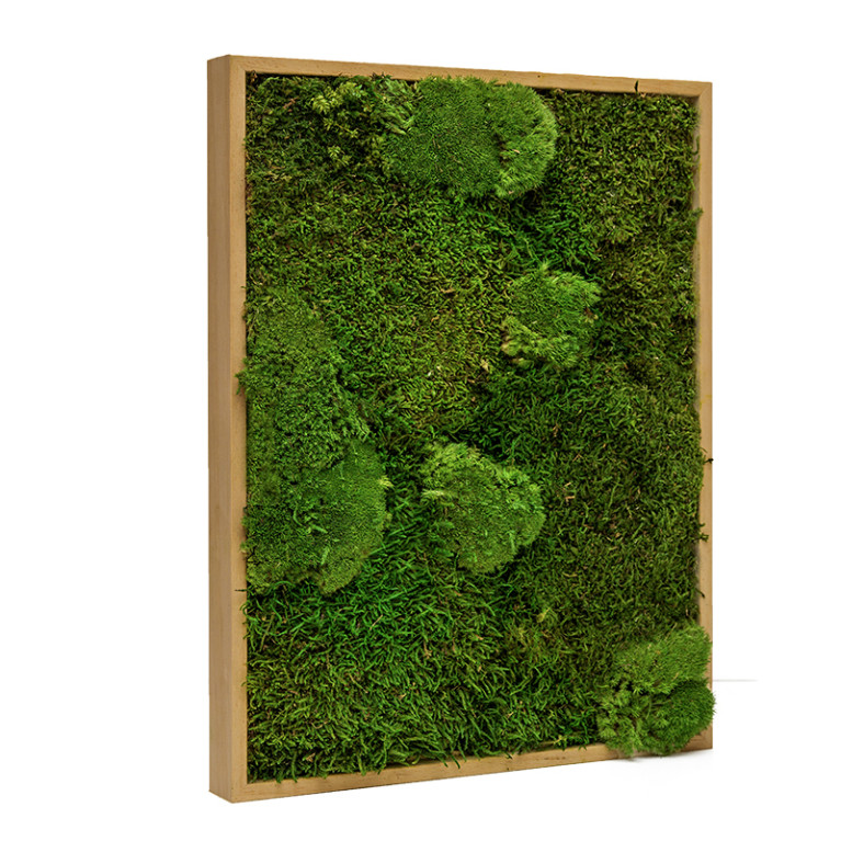 Mosschilderij Lappenmos-Bolmos 60x80 cm Eikenhout - Boras