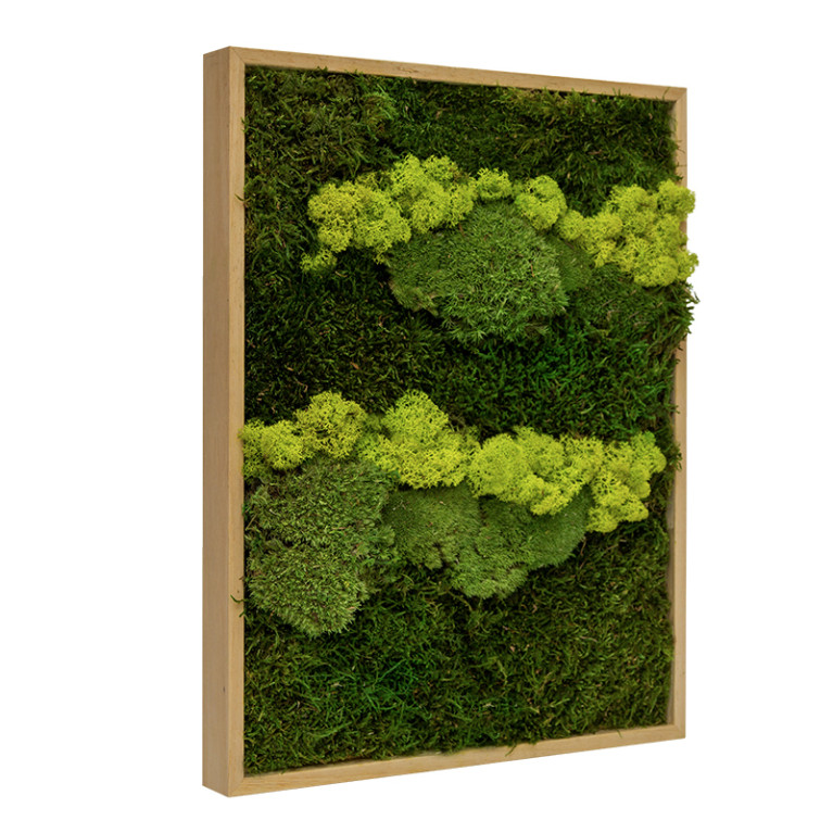 Mosschilderij Lappenmos-Rendiermos-Bolmos 30x40 cm Eikenhout - Skive Lentegroen