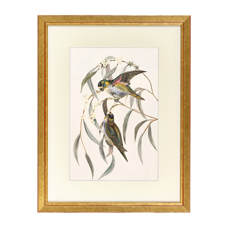 Fotolijst Tropez Goud A2 (42x59,4 cm) - Art Print en Passe Partout