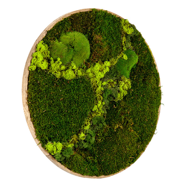 Mos Schilderij Rond 40 cm Ongelakt Eiken Svendborg Lentegroen - Zijaanzicht