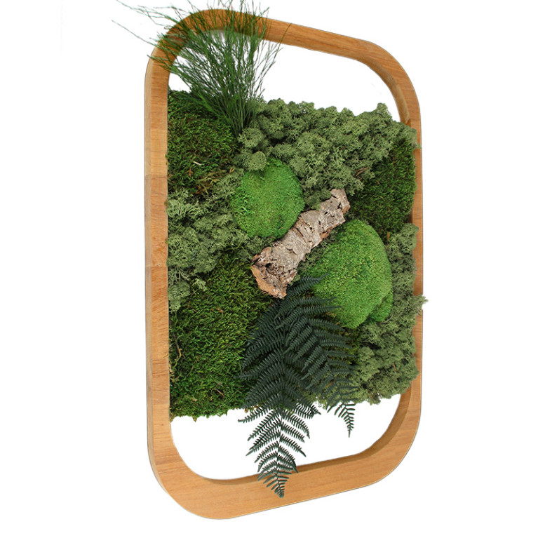 Vintlux Mosschilderij 31x46 cm Eiken Naturel - Sandvik - Schuin