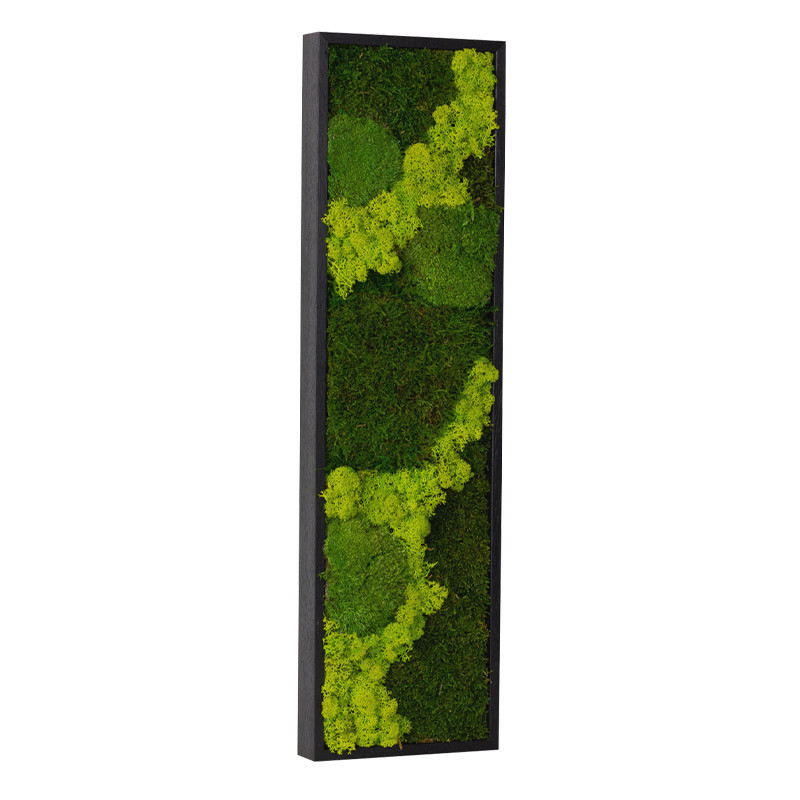 Vintlux Mosschilderij 15x60 cm Zwart - Nybro