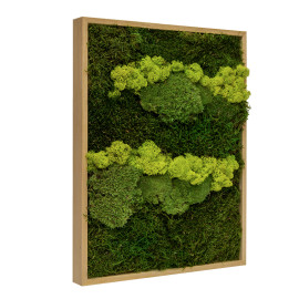 Mosschilderij Lappenmos-Rendiermos-Bolmos Eikenhout - Skive Lentegroen - Zijkant