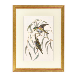 Fotolijst Tropez Goud 50x60 cm - Art Print en Passe Partout