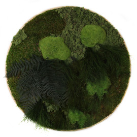 Vintlux Mosschilderij Rond Ongelakt Eiken - Solbjerg