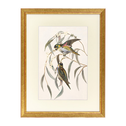 Fotolijst Tropez Goud A2 (42x59,4 cm) - Art Print en Passe Partout