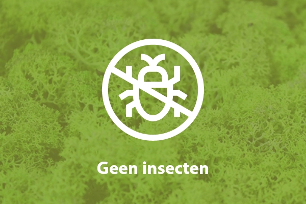 Geen insecten