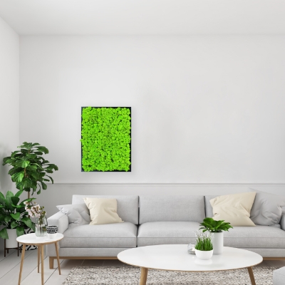 Sfeerimpressie mos schilderij rendiermos zwart