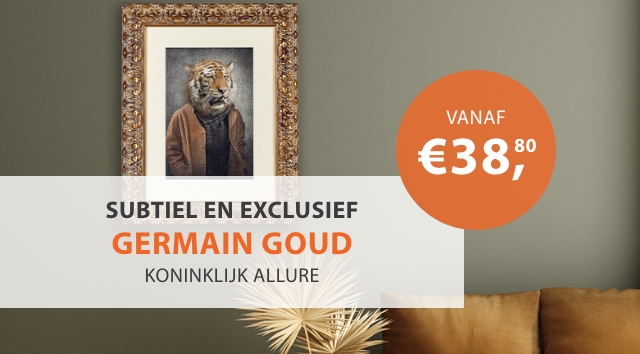 Fotolijsten Germain Goud