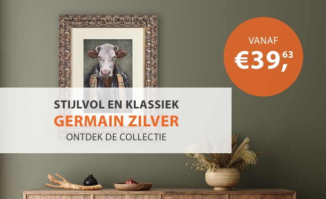 Fotolijsten Germain Zilver